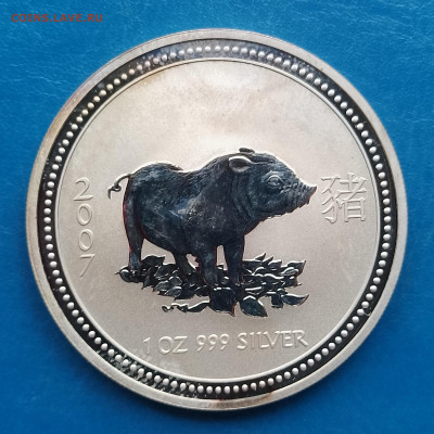 Австралия, 1 доллар 2007, Год свиньи, до 30.10.2025 - IMG_20251024_091048