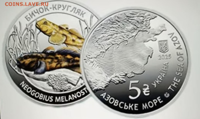 Юбилейка Украины - IMG_20251023_211643