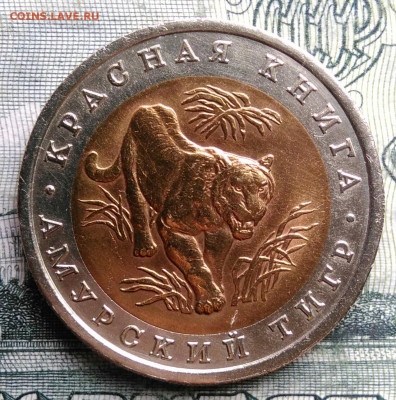 10 рублей 1992 года Амурский тигр до 27.10.2025 - IMG_20251022_215433