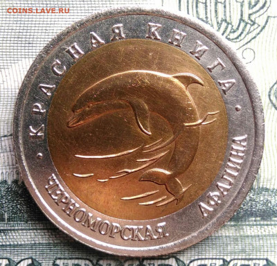 50 рублей 1993 года Афалина до 27.10.2025 - IMG_20251022_215505