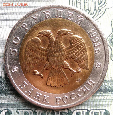 50 рублей 1993 года Афалина до 27.10.2025 - IMG_20251022_215523