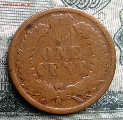 США 1 цент 1882 года до 27.10.2025 - IMG_20251023_212715