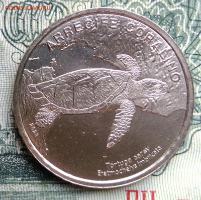 Коста-Рика 50 колон 2023 года черепаха до 27.10.2025 - IMG_20251023_213921