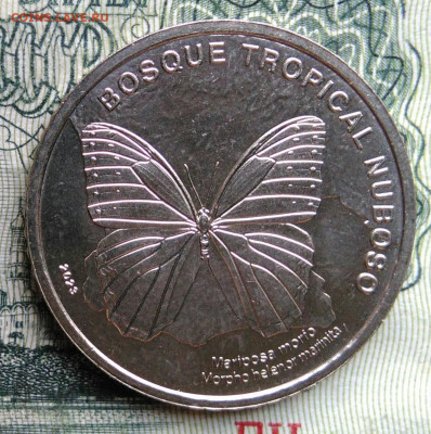 Коста-Рика 50 колон 2023 года бабочка до 27.10.2025 - IMG_20251023_213947