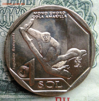 Перу 1 соль 2019 года до 27.10.2025 - IMG_20251023_213808