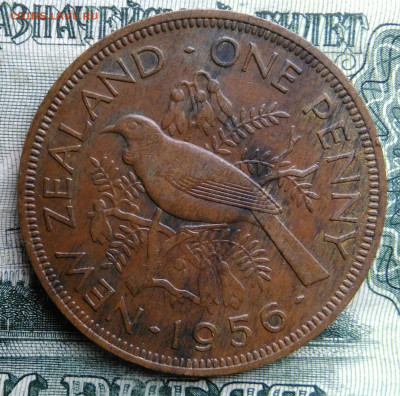 Новая Зеландия 1 пенни 1956 года до 27.10.2025 - IMG_20251023_221932