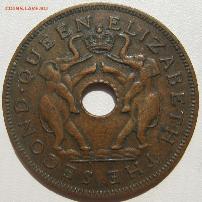 Родезия и Ньясаленд 1 пенни 1956 слоны с бивнями до 27.10. - IMG_3173.JPG