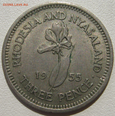 Родезия и Ньясаленд 3 пенса 1955 цветок огненная лилия 27.10 - IMG_3174.JPG