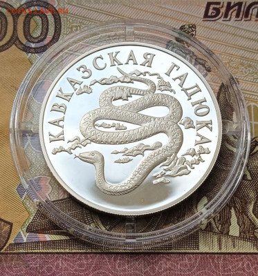 1руб. 1999 Кавказская гадюка Пруф тир.15000 шт. - photo_2025-10-14_10-07-55