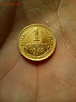 1коп 1935 до 26.10.25 22-00 - IMG20251025181235