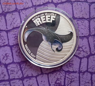 Австралия 50 центов. Скат. Серебро. До 28.10.22:00 - 1761187417198