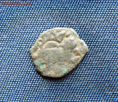 Пуло. - DSCN8662.JPG