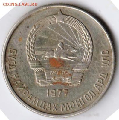 25 г в 23.00 - 014