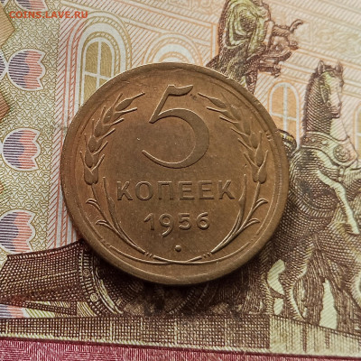5 копеек 1956. До 30.10.25 в 22.00 - IMG_20251026_132342