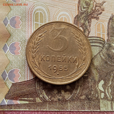 3 копейки 1955. До 30.10.25 в 22.00 - IMG_20251026_145926