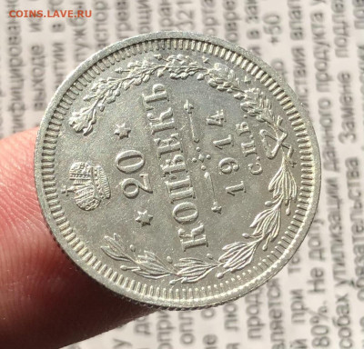 20к 1914г 31.10.25 22.00 МСК . - IMG_7266