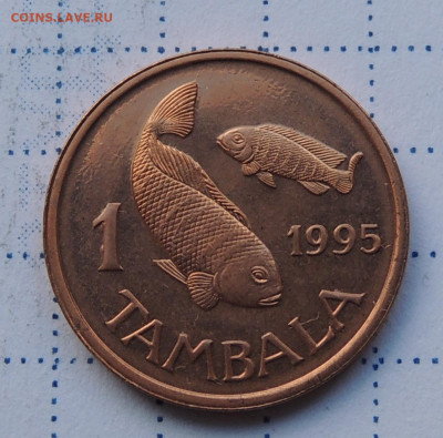 Малави 1 тамбала 1995 до 29.10.2025 - Малави 1 тамбала 95.JPG