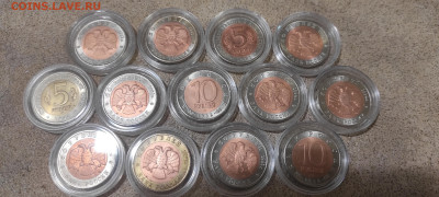 Красная книга 1991-1994 - IMG_20251027_191804