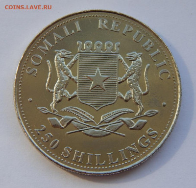 250 шиллингов 2001 года. Сомали. С. Дали, Постоянство памяти - DSCN9325.JPG