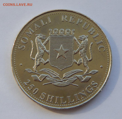 250 шиллингов 2001 года. Сомали. Ф.Гойя, Герцог Веллингтон - DSCN9316.JPG