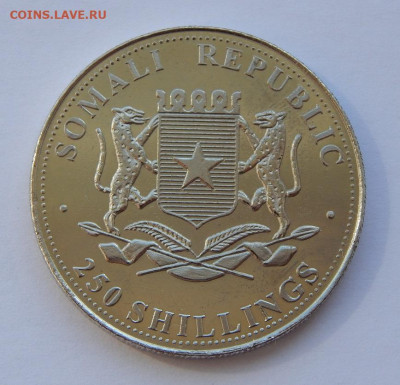 250 шиллингов 2001 года. Сомали. Рембрандт, Автопортрет - DSCN9287.JPG