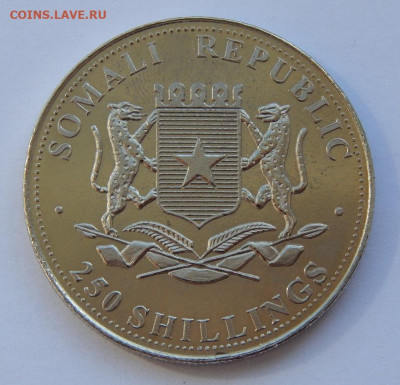 250 шиллингов 2001г  Сомали Пабло Пикассо, Ребенок и голубь. - DSCN9301.JPG