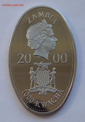 1000 квач 2000 года. Замбия. Непрерывное присутствие - DSCN9386.JPG