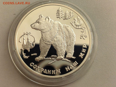 3рубля 1993 Сохраним наш мир. Бурый медведь, Ag900, до 03.11 - 3р Бурый медведь-1