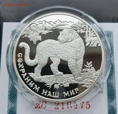 3р 2011 Переднеазиатский леопард. Сохраним наш мир, 31,1 - 20251028_155527