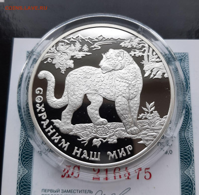 3р 2011 Переднеазиатский леопард. Сохраним наш мир, 31,1 - 20251028_155531