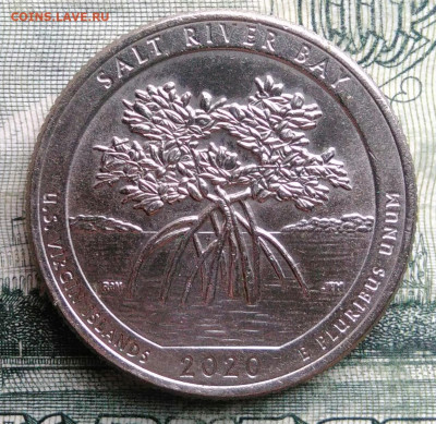 4 доллара 2020 года до 03.11.2025 - IMG_20251028_191053