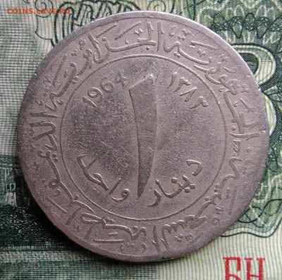 Алжир 1 динар 1964 года до 03.11.2025 - IMG_20251029_003033