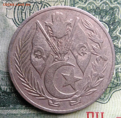 Алжир 1 динар 1964 года до 03.11.2025 - IMG_20251029_003049