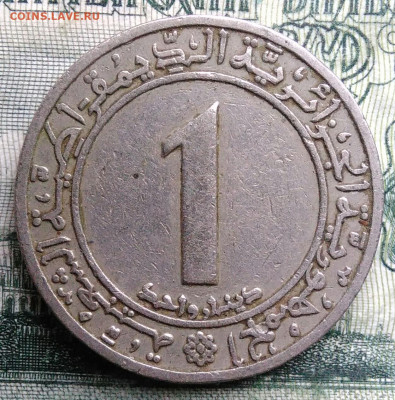Алжир 1 динар 1983 года до 03.11.2025 - IMG_20251029_003603