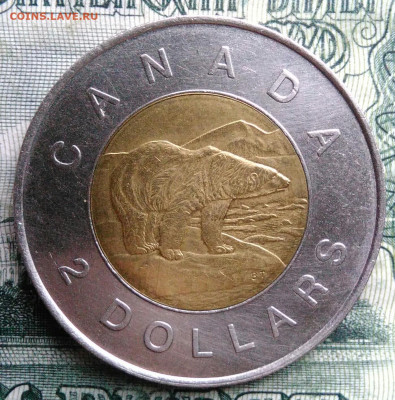 Канада 2 доллара 1996 года до 03.11.2025 - IMG_20251029_004045