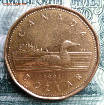 Канада 1 доллар 1994 года до 03.11.2025 - IMG_20251029_004121