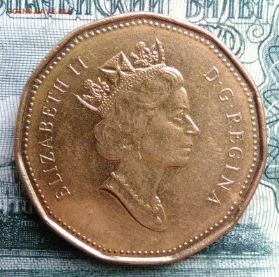 Канада 1 доллар 1994 года до 03.11.2025 - IMG_20251029_004138