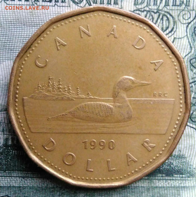 Канада 1 доллар 1990 года до 03.11.2025 - IMG_20251029_004212