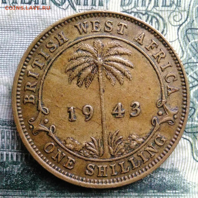 Британская Западная Африка 1 шиллинг 1943 до 03.11.2025 - IMG_20251029_003932
