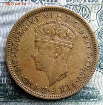 Британская Западная Африка 1 шиллинг 1943 до 03.11.2025 - IMG_20251029_003948