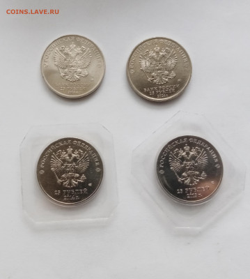 25р ёжик Сочи и другие до 04.11.25 в 22:00 по мск - IMG_20251029_101459