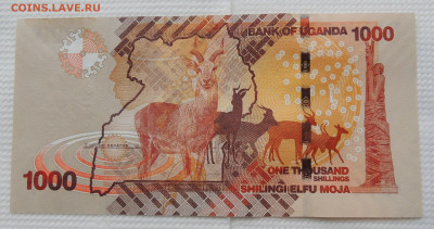 Уганда 2000 шиллингов 2021 до 2.11.2025 - Уганда 1000 шиллингов 2021 .JPG