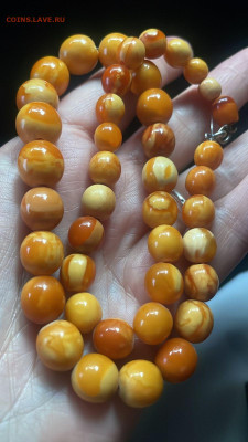 Куплю Янтарь,Будда,Зуб Кашалота - IMG-20231114-WA0017