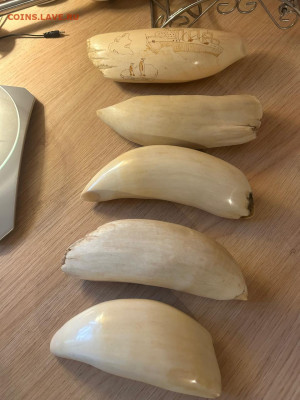 Куплю Янтарь,Будда,Зуб Кашалота - IMG-20241028-WA0049