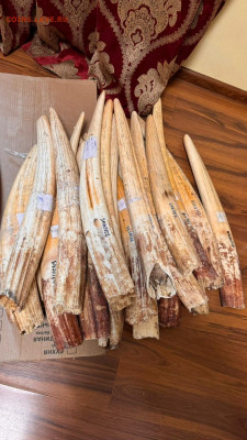 Куплю Янтарь,Будда,Зуб Кашалота - IMG-20240128-WA0114