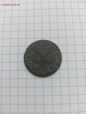 Денга Петра-I.(1704г)до 03.11.25г.в 23-00ч.по Москве. - 035