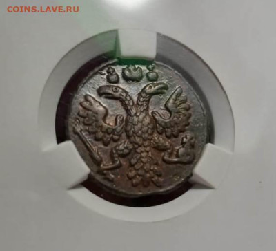 Полушка 1735г. MS62 BN до 31.10.25г. в 22:00 мск - Изображение WhatsApp 2025-10-29 в 19.08.53_d1743be7