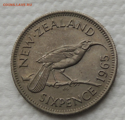Новая Зеландия 6 пенсов 1965 до 2.11.2025 - Новая Зеландия 6 пенсов 65.JPG