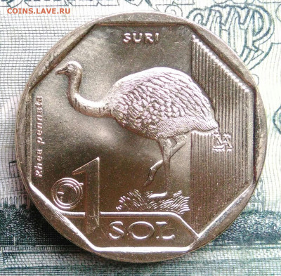 Перу 1 соль 2018 года до 03.11.2025 - IMG_20251029_185333