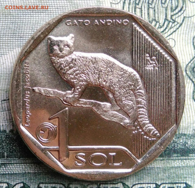 Перу 1 соль 2019 года до 03.11.2025 - IMG_20251029_185232